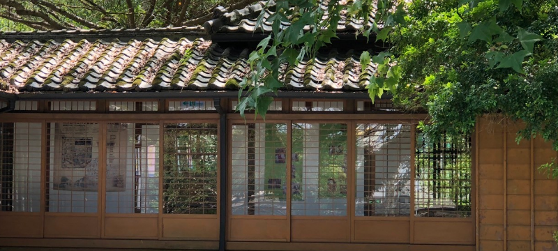 深入臟腑的低音藥草